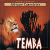 African Tapestries - Temba - Hennie Bekker
