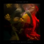 Flying Lotus - Getting There (feat. Niki Randa)