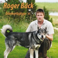 Min Hyllning Till Jämtland