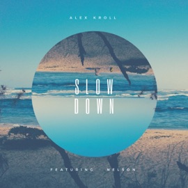 Slow Down (feat. WAVO) Alex Kroll