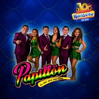 Papillón - Triste Payaso (En Vivo)