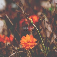 Wala Na (feat. Clien, Jom & Mayo) [Remix] - Single - Muffin