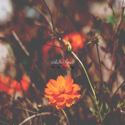 Wala Na (feat. Clien, Jom & Mayo) [Remix] - Single