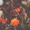 Wala Na (feat. Clien, Jom & Mayo) - Muffin lyrics