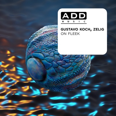 On Fleek - Single