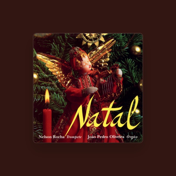 Nelson Rocha's avatar