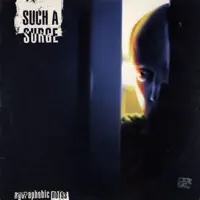 You Say I Will — Such A Surge