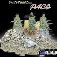 Plug Named Paco - JerseyGxdSxul