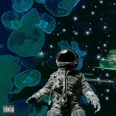 Astronaut In the Ocean artwork