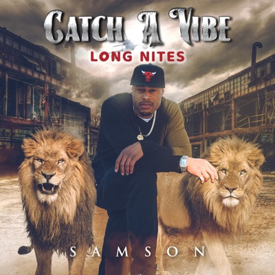 Catch a Vibe (Longnites)