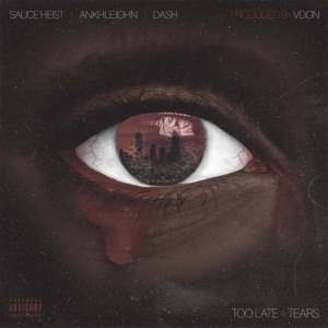 Too Late 4 Tears (feat. Da$h, Ankhlejohn & Sauce Heist)