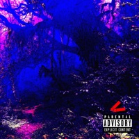 Free Flow Volume 1 - Sofftez