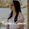 Trazendo a Calmaria - Single