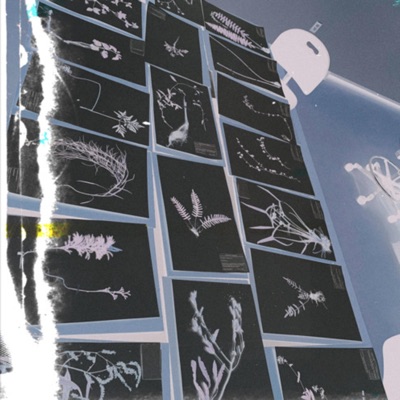 Ascending (feat. hector vae) - Single