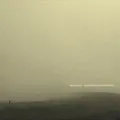 Fall Into Oblivion