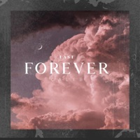 Last Forever - Single - Caleb Daniel