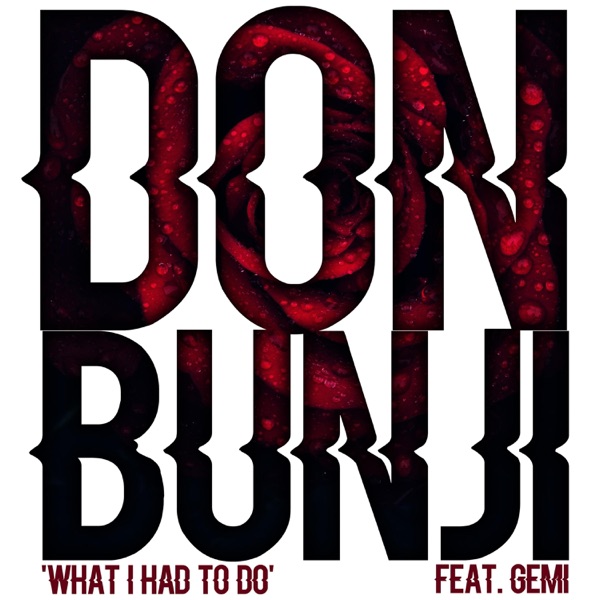 What I Had to Do (feat. Gemi)