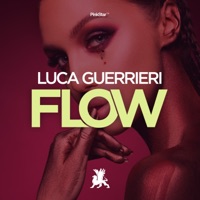 Flow - Single - Luca Guerrieri