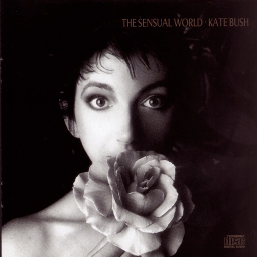 Art for Love And Anger by Kate Bush