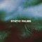 Palm Reader - Static Palms lyrics