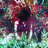 Roses - Single - Saint Apollo