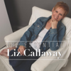 Liz Callaway - Once Upon a December (From the 