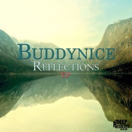 Reflections Buddynice