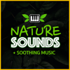 Nature Sounds (+ Calm Choir) - Nature Sounds Sleep Music & Deep Sleep Lucid Dreaming