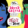 Shot Me Down (feat. Skylar Grey) - David Guetta