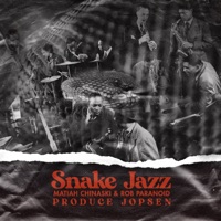 SNAKE JAZZ (feat. MatiaH Chinaski & Rob Paranoid) - Single - DJ Jopsen