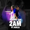 2AM (feat. Nala) - Single