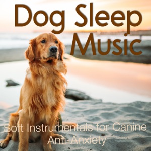 Dog Sleep Music - Soft Instrumentals for Canine Anti-Anxiety
