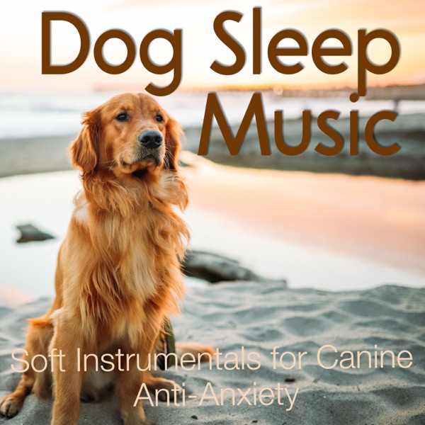 Dog Sleep Music - Soft Instrumentals for Canine Anti-Anxiety