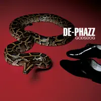 Phazz