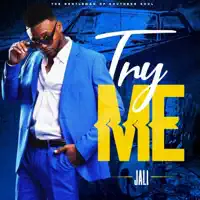 Try Me — JaLi The Gentleman