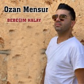 Bebeğim Halay artwork