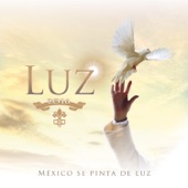 Luz artwork