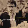 Jesse Harris & the Ferdinandos