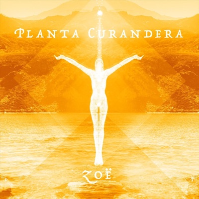 Planta Curandera - Single