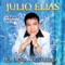 Amarte Solo a Ti - Julio Elias lyrics