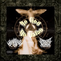 No God No Satan (feat. UndeadRonin) - Single - Kaykillius