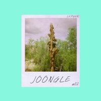 Joongle - Single - LePhar
