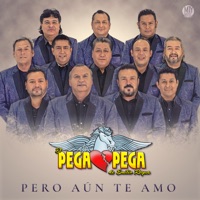 El Pega Pega De Emilio Reyna - Pero Aún Te Amo