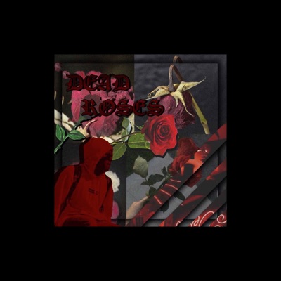 Why? - Single