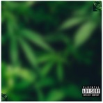 Flower & Powder (feat. Antieveryone) - Single