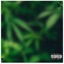 Flower & Powder (feat. Antieveryone) - Single