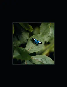 Ouça The Leftovers, assista a videoclipes, leia a biografia, veja as datas das turnês e mais!