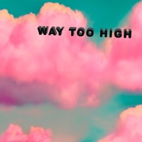 way too high (feat. Ezra) - Single - racer b