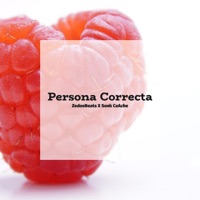 Persona Correcta - Single - ZedoeBeats & Sonk CeAche