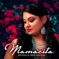 Mamacita - Single - Mr Faga & Amor Davokal